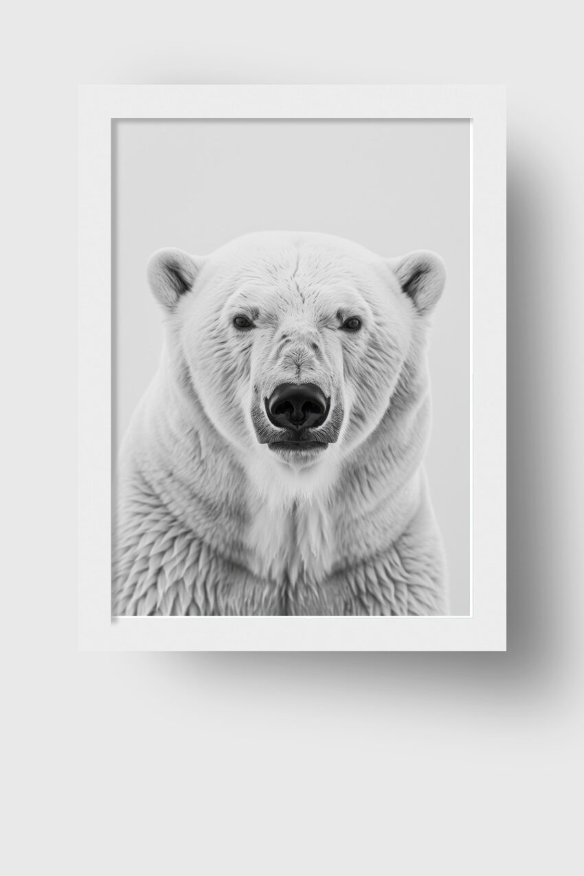 Fotografie Poster Eisbär Porträt schwarz-weiß frontal