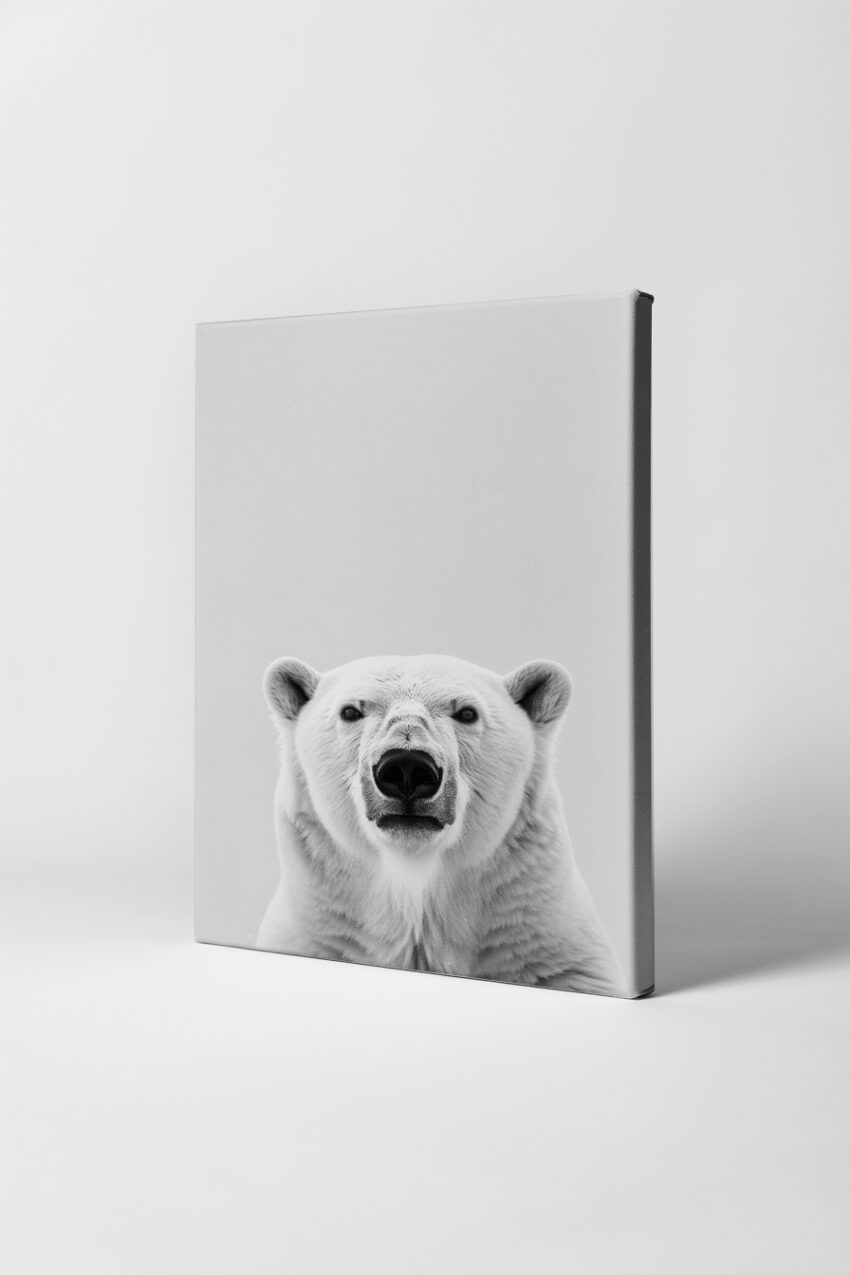 Fotografie Poster Eisbär frontal schwarz-weiß