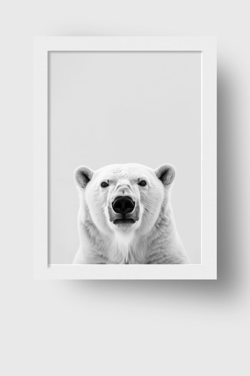 Fotografie Poster Eisbär frontal schwarz-weiß