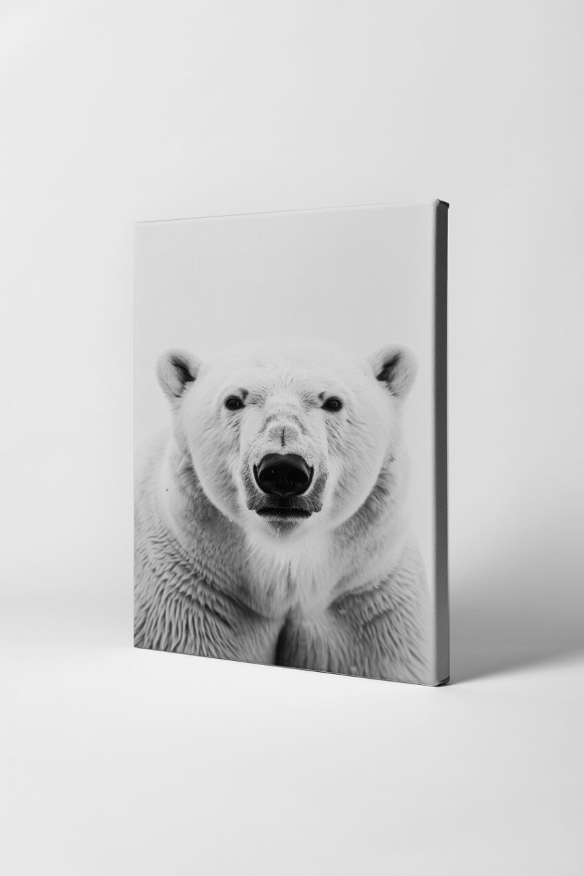 Fotografie Poster Eisbär frontal schwarz weiß