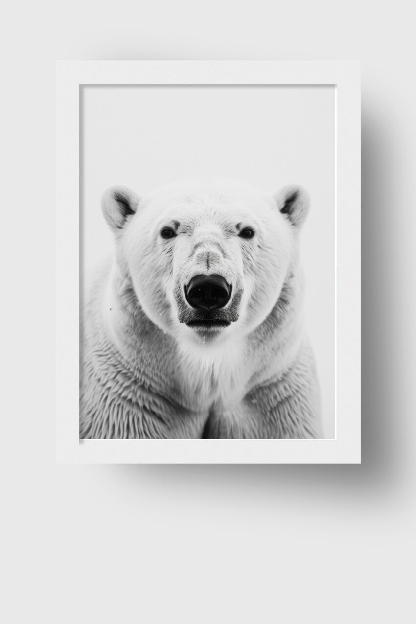 Fotografie Poster Eisbär frontal schwarz weiß
