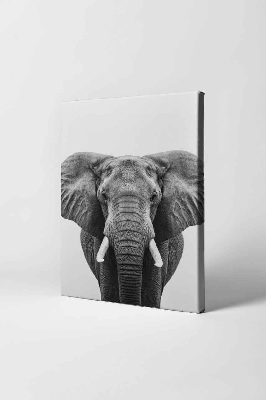 Fotografie Poster Elefant frontal schwarz-weiß detailliert