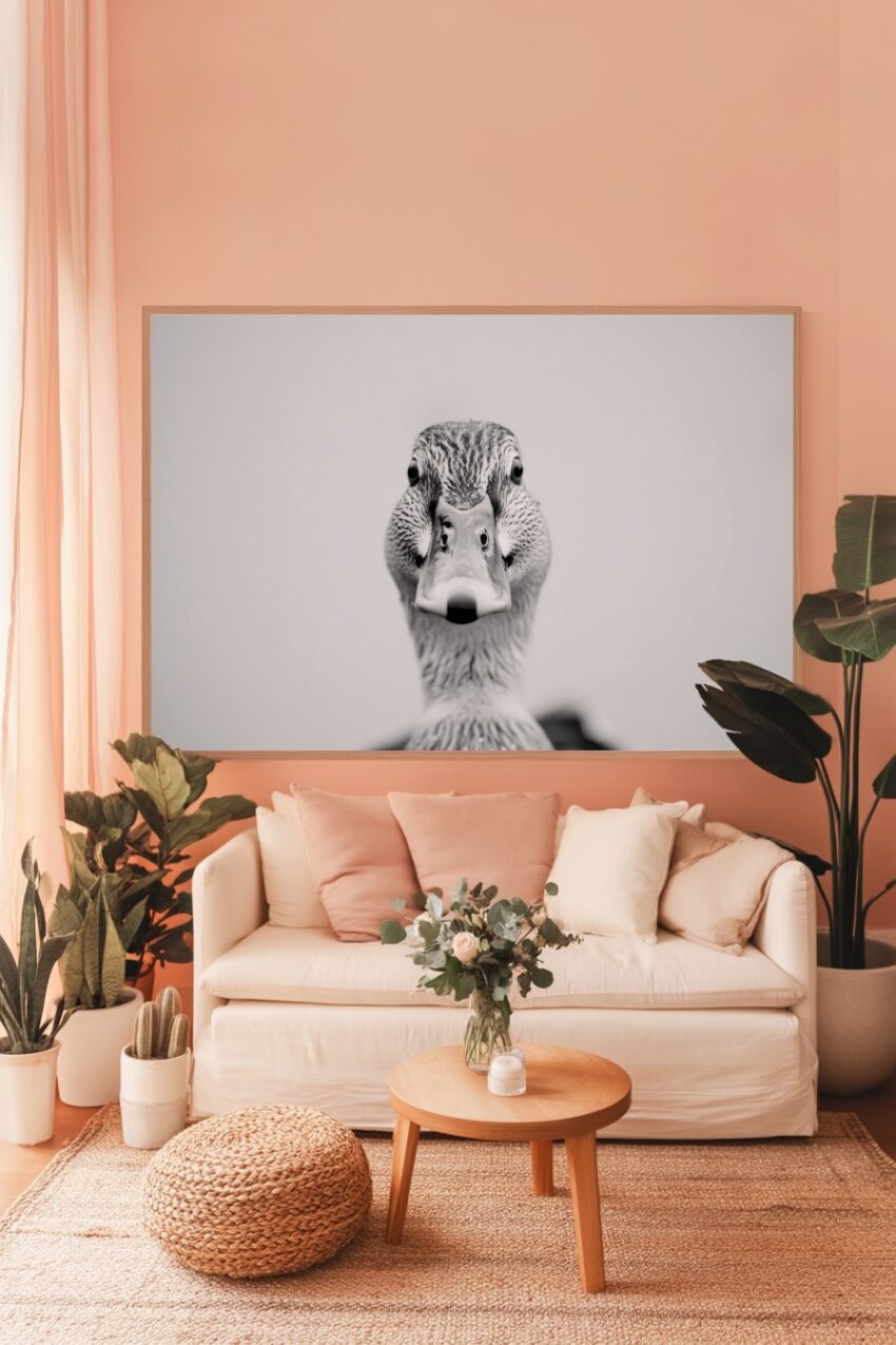 Fotografie Poster Ente Schnabel Nah Schwarz-Weiß