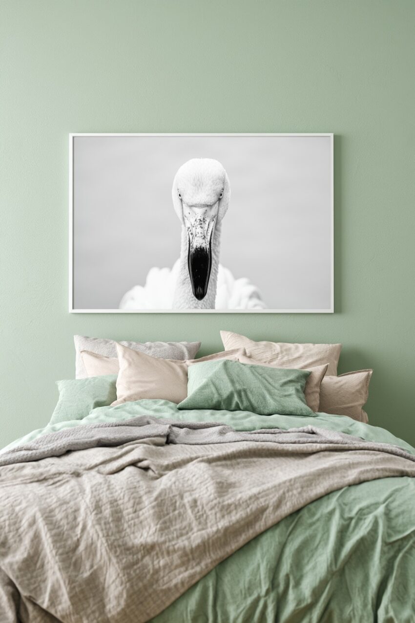 Fotografie Poster Pelikan Kopf schwarz-weiß frontal