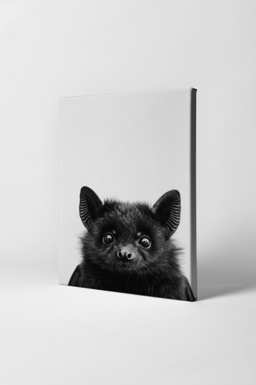 Fotografie Poster Fledermaus schwarz-weiß Nahaufnahme