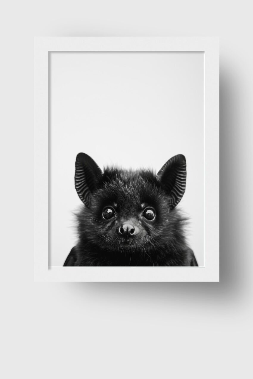 Fotografie Poster Fledermaus schwarz-weiß Nahaufnahme