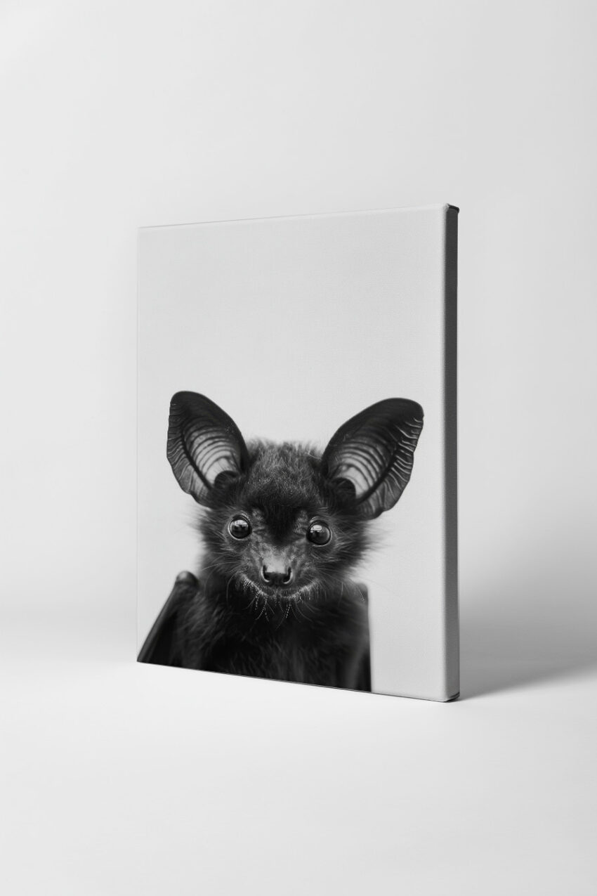 Fotografie Poster Fledermaus Nahaufnahme schwarz-weiß