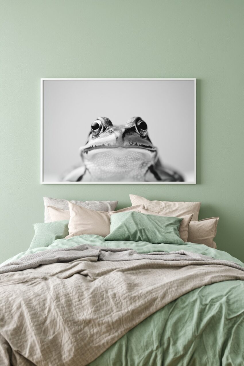 Fotografie Poster Frosch Nahaufnahme schwarz-weiß