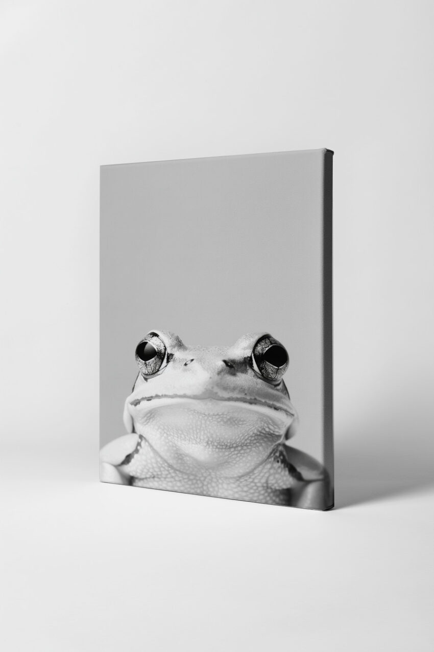 Fotografie Poster Frosch Nahaufnahme Schwarz-Weiß