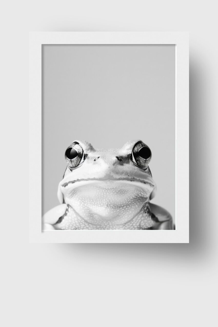Fotografie Poster Frosch Nahaufnahme Schwarz-Weiß