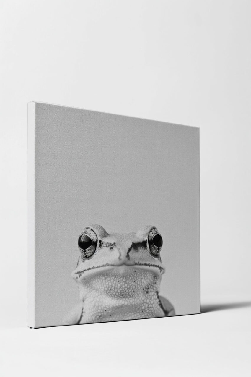 Fotografie Poster Frosch Nahaufnahme Schwarz-Weiß