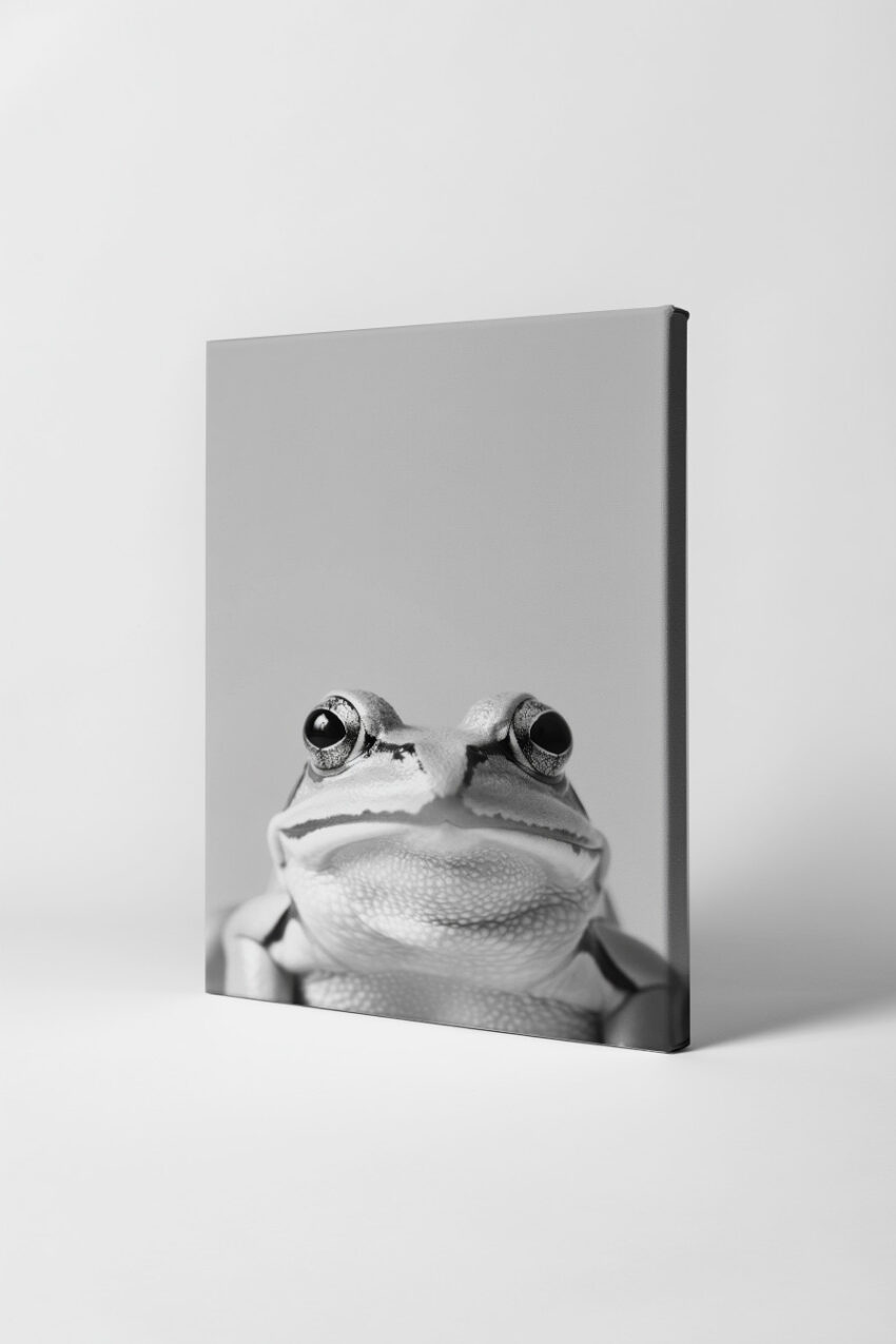 Fotografie Poster Frosch schwarz-weiß Nahaufnahme Gesicht