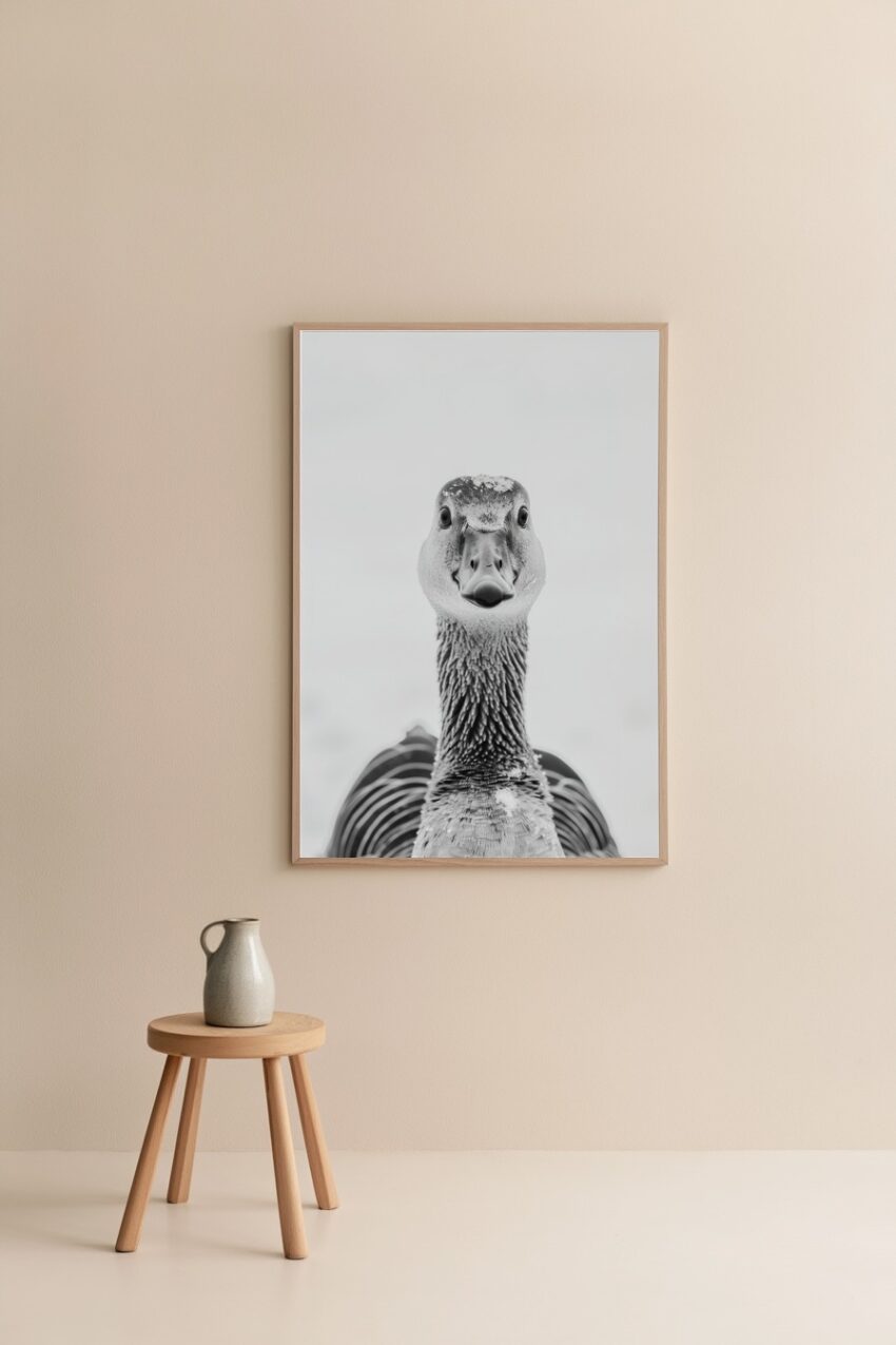 Fotografie Poster Gans intensiver Blick schwarz-weiß