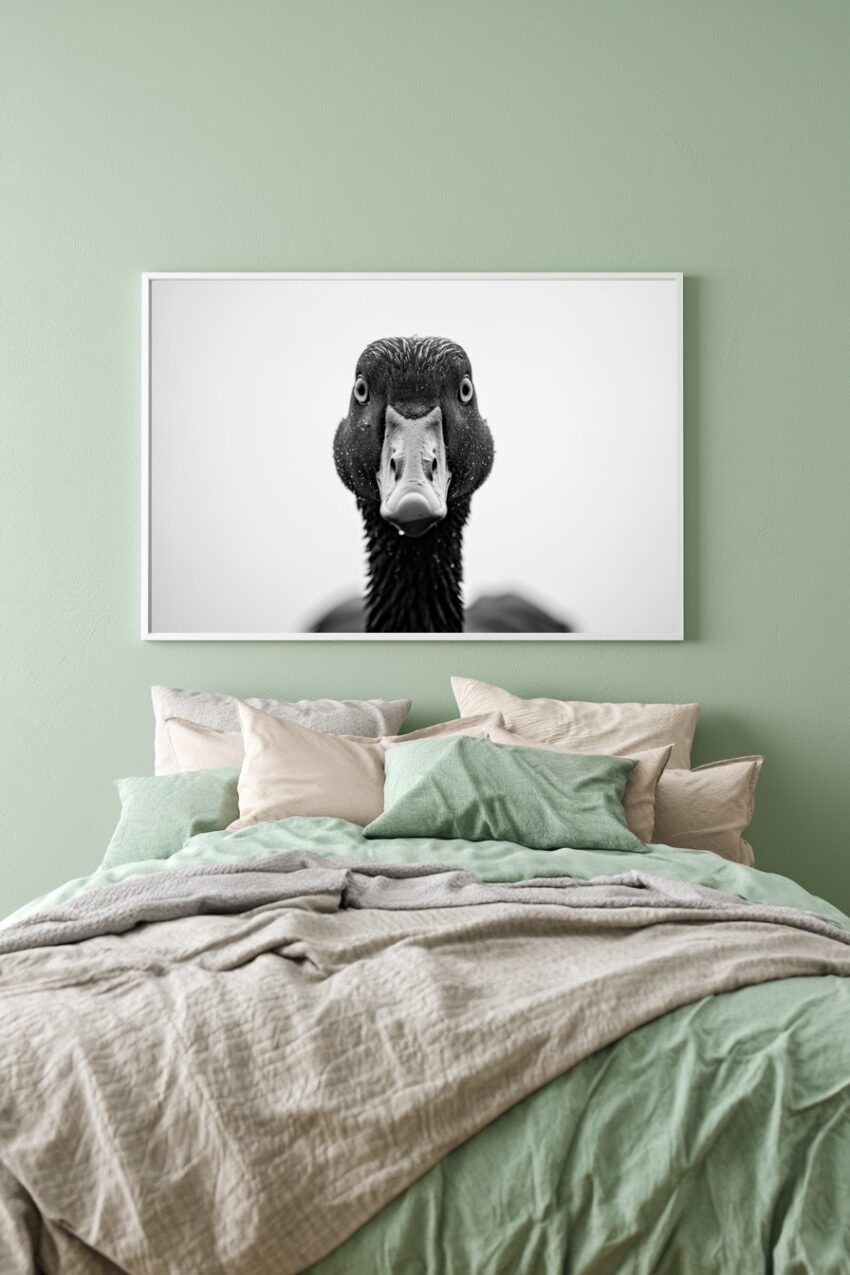 Fotografie Poster Ente frontal schwarz-weiß nah