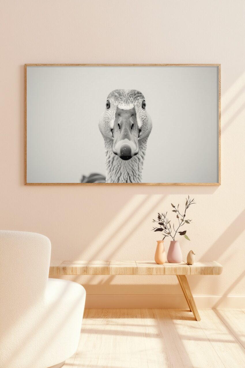 Fotografie Poster Ente frontal Schwarz-Weiß nah