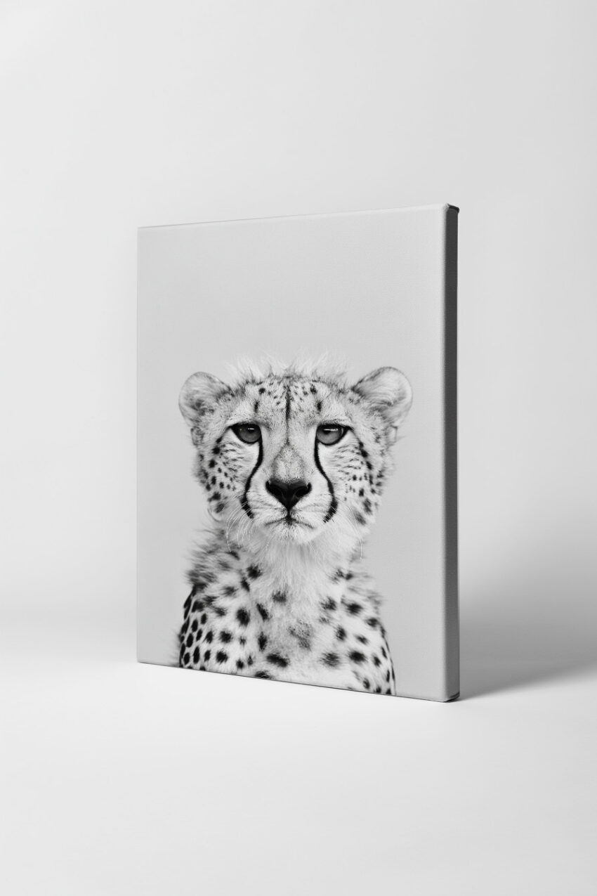 Fotografie Poster Gepard Porträt frontal schwarz-weiß