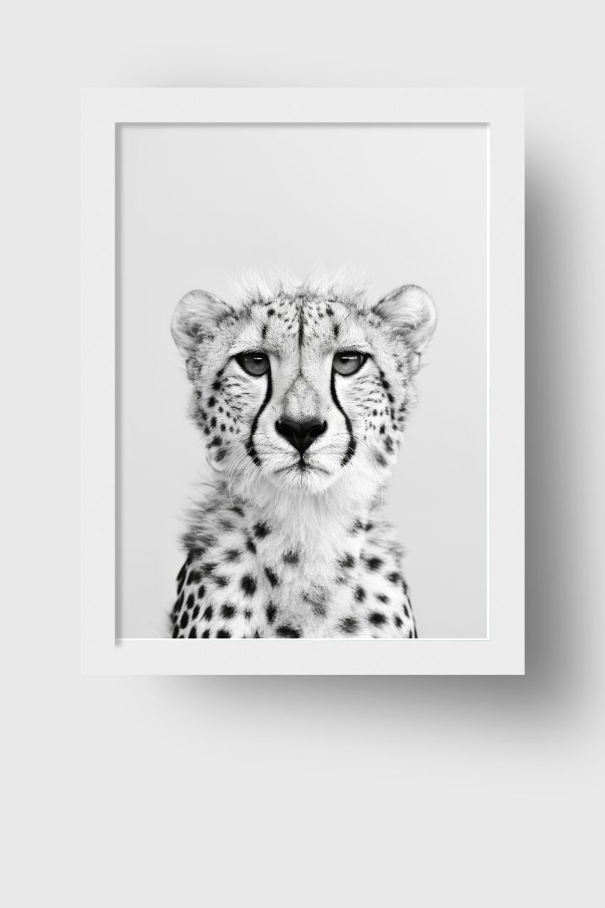 Fotografie Poster Gepard Porträt frontal schwarz-weiß