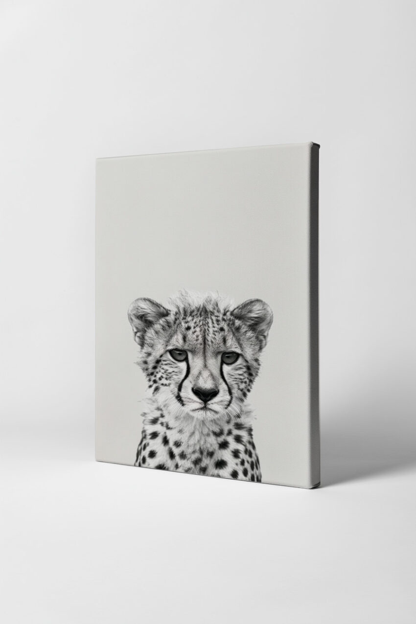 Fotografie Poster Gepard Porträt schwarz-weiß frontal