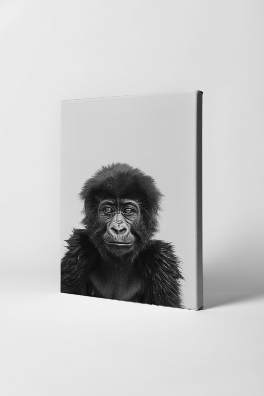 Fotografie Poster Gorilla intensiver Blick schwarz-weiß