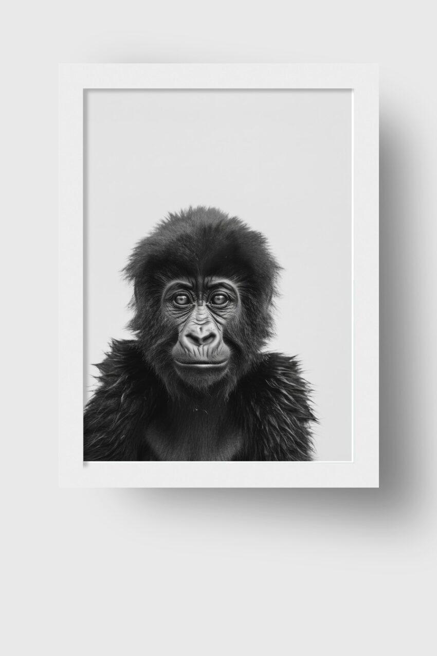 Fotografie Poster Gorilla intensiver Blick schwarz-weiß