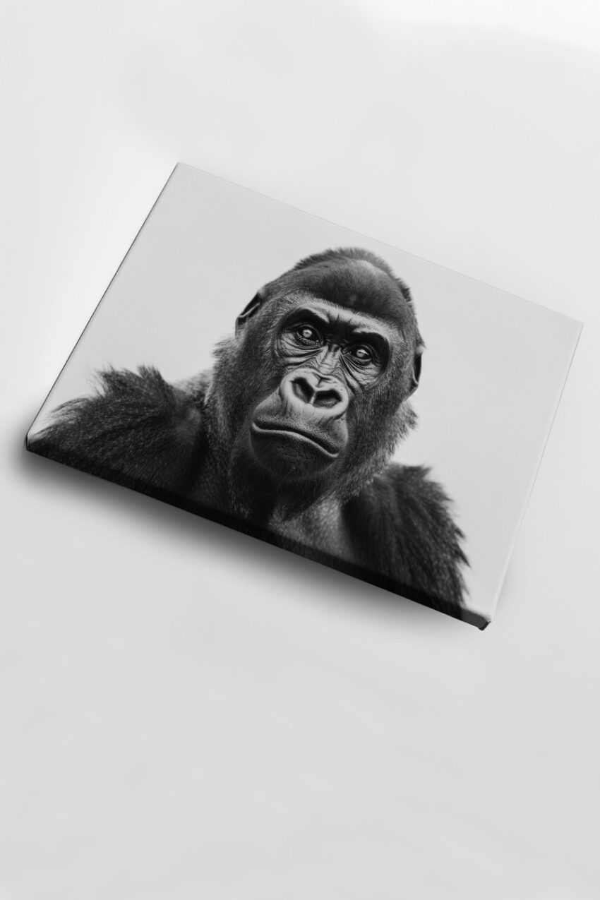 Fotografie Poster Gorilla Porträt Schwarz-Weiß Nahaufnahme