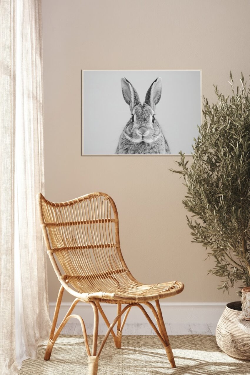 Fotografie Poster Kaninchen frontal Schwarz-Weiß ruhig