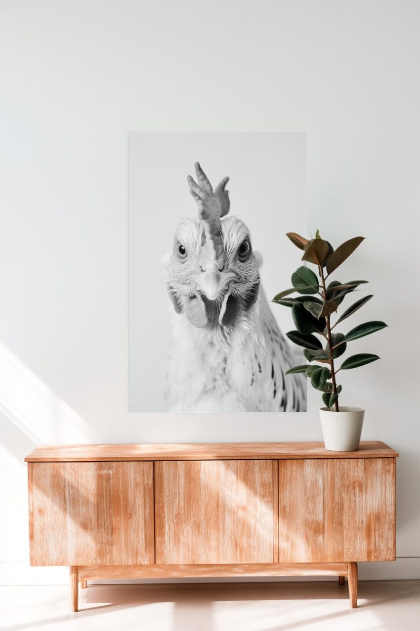 Fotografie Poster Huhn Porträt schwarz-weiß Nahaufnahme