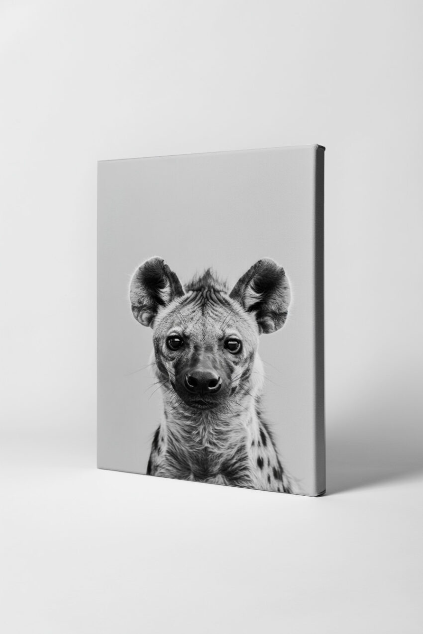 Fotografie Poster Hyäne Porträt schwarz-weiß intensiv