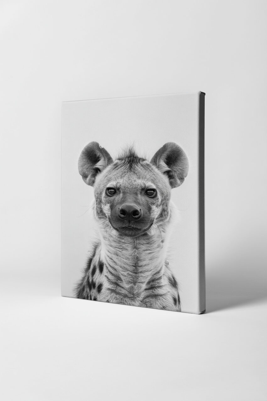 Fotografie Poster Hyäne Porträt schwarz-weiß klar