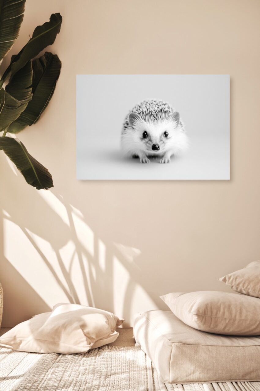 Fotografie Poster Igel frontal schwarz-weiß detailreich