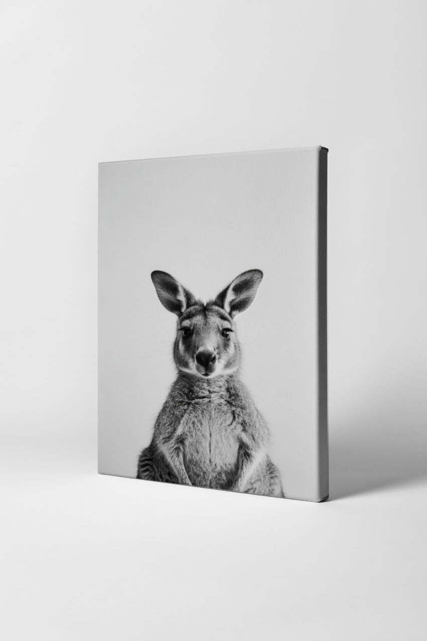 Fotografie Poster Känguru frontal schwarz-weiß ruhig