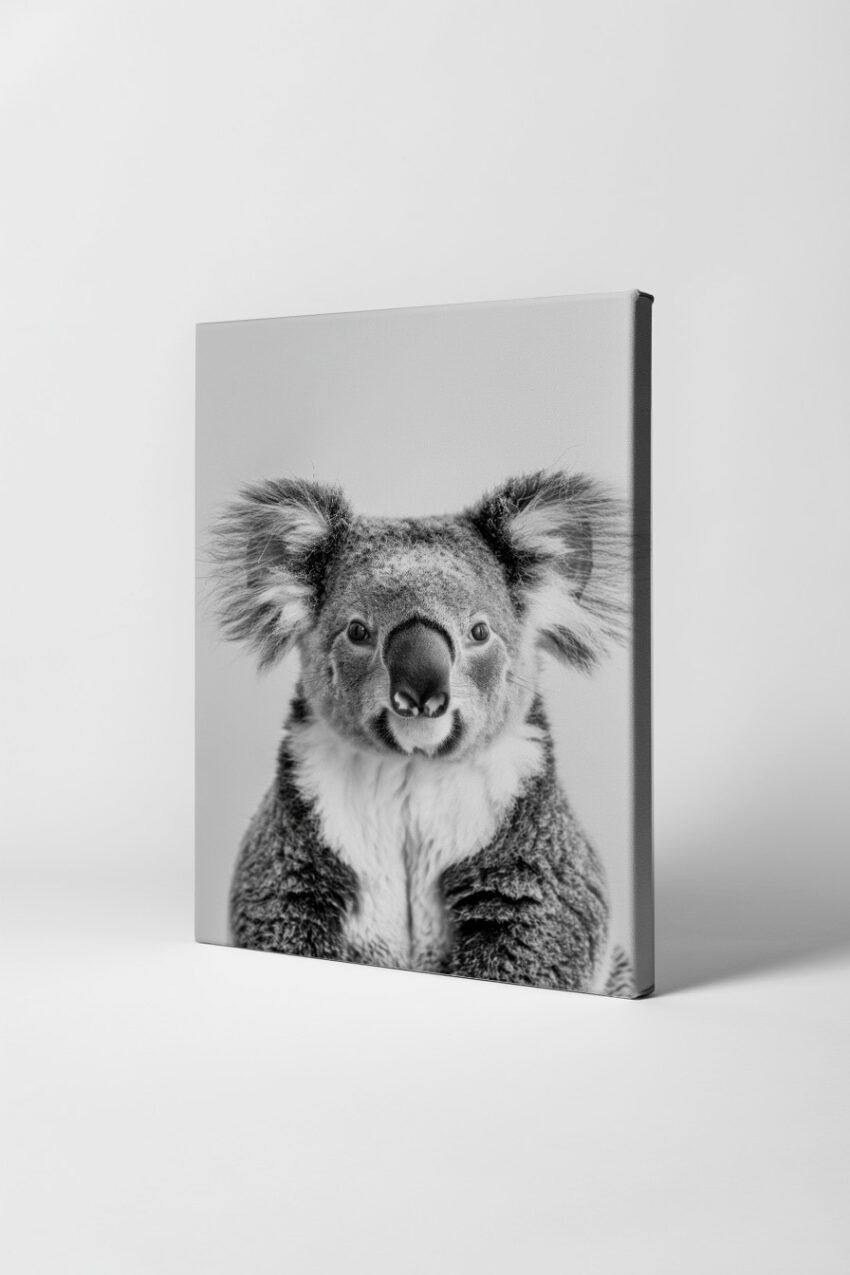 Fotografie Poster Koala Gesicht monochrom detailreich