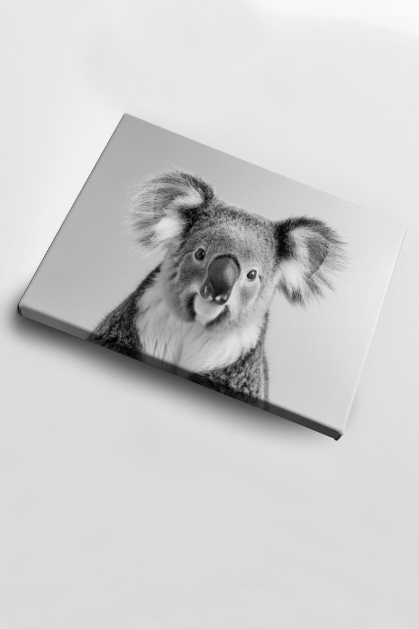 Fotografie Poster Koala Porträt schwarz-weiß
