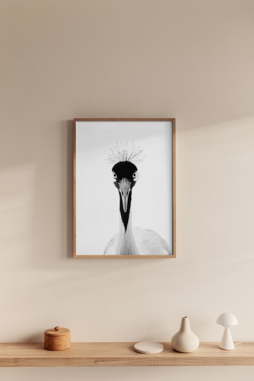 Fotografie Poster Kranich Kopf frontal schwarz-weiß minimalistisch