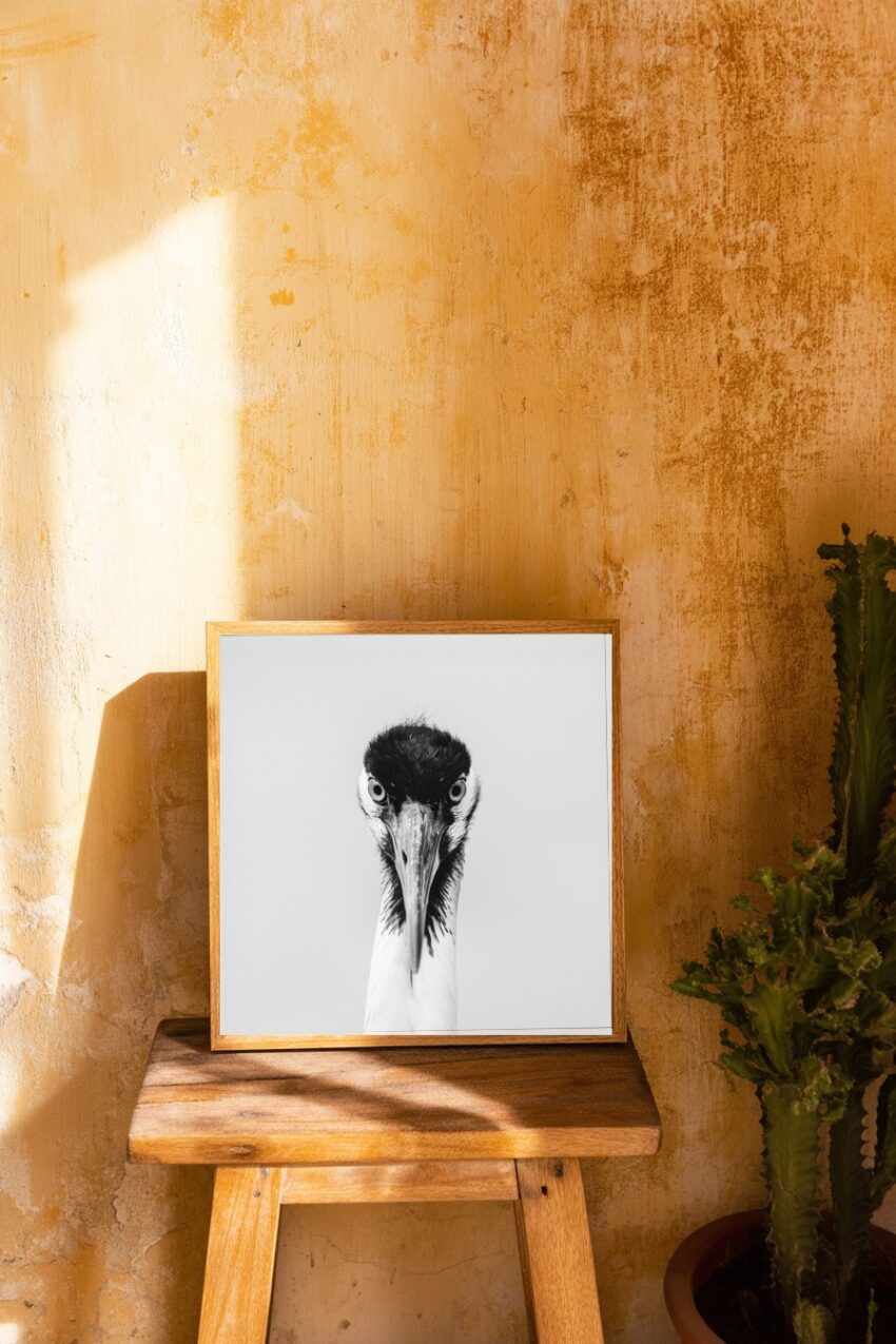 Fotografie Poster Kranich Schwarz-Weiß frontal