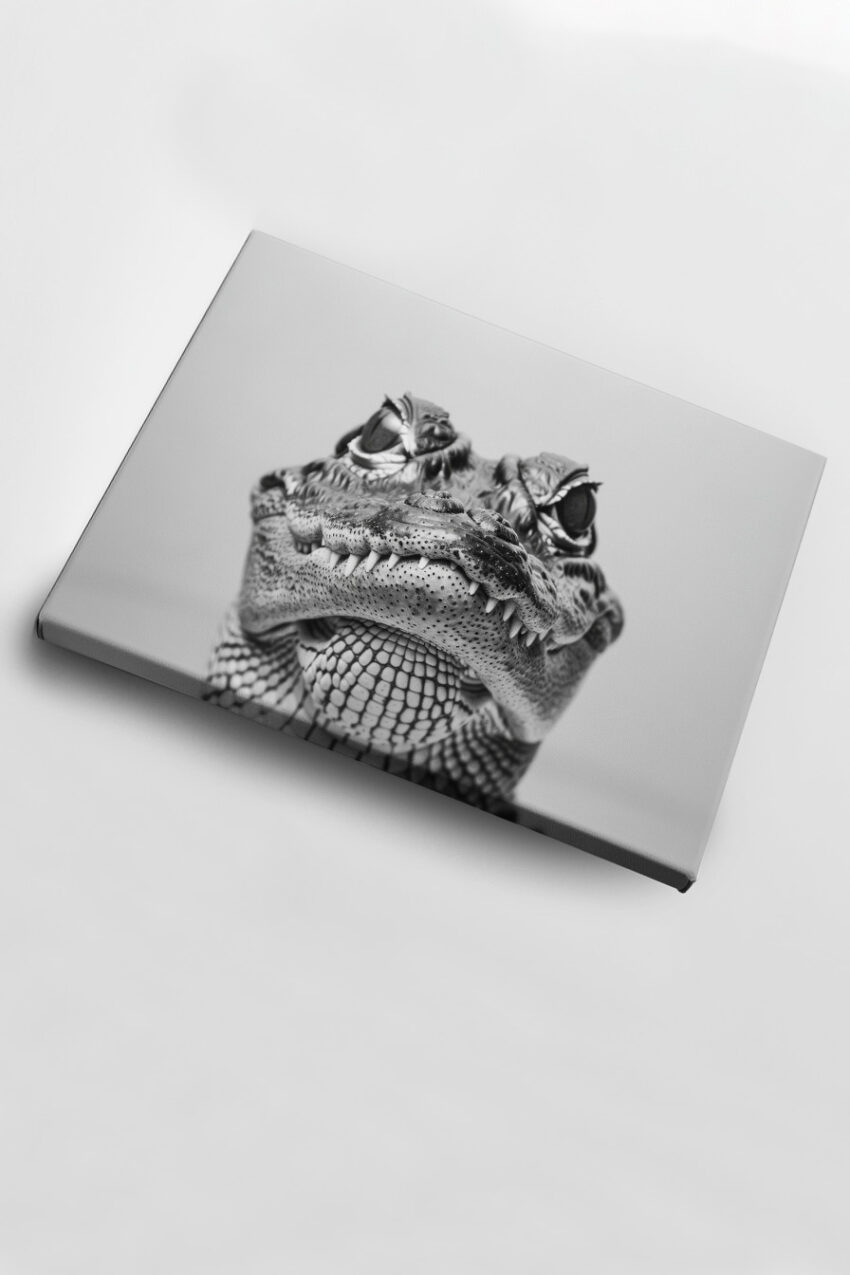 Fotografie Poster Krokodil schwarz-weiß Porträt frontal