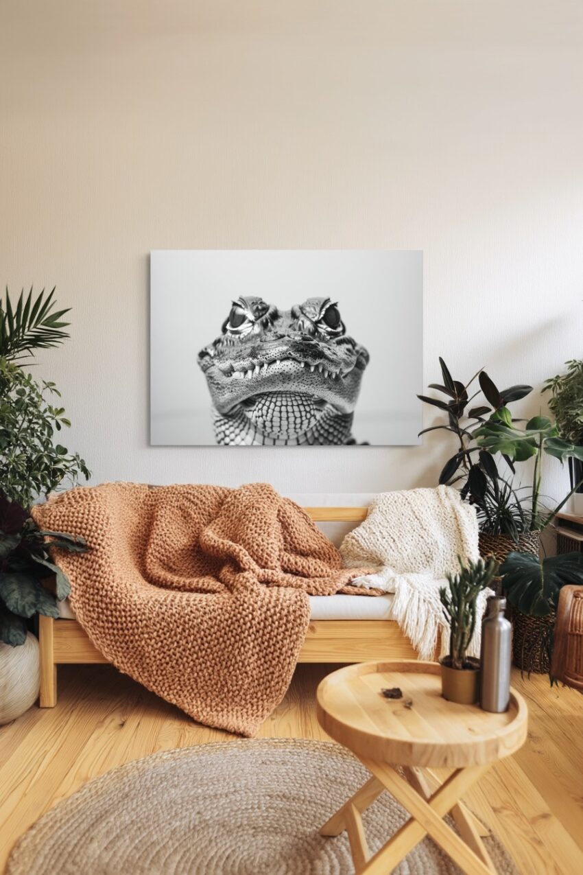 Fotografie Poster Krokodil schwarz-weiß Porträt frontal