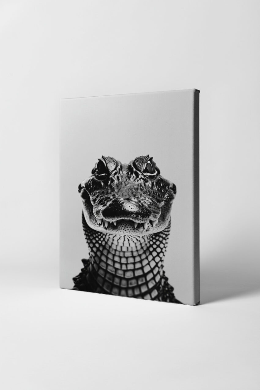 Fotografie Poster Krokodil schwarz-weiß frontal intensiv