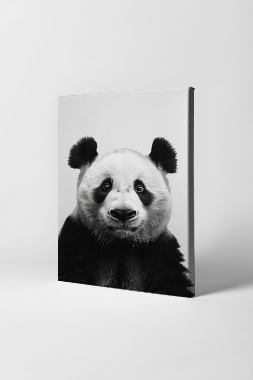 Fotografie Poster Panda Nahaufnahme schwarz-weiß detailreich