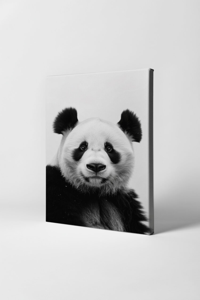 Fotografie Poster Panda Kopf schwarz-weiß frontal