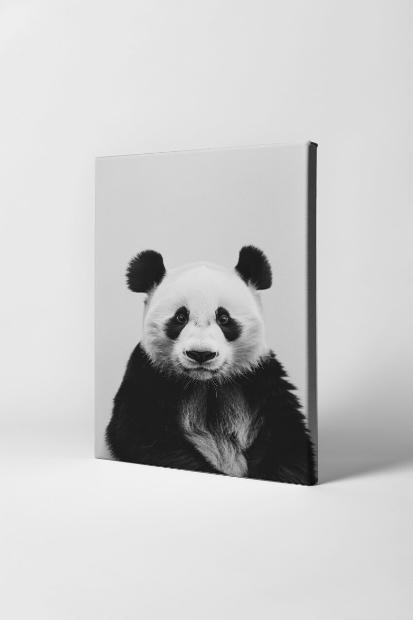 Fotografie Poster Panda schwarz-weiß Porträt frontal