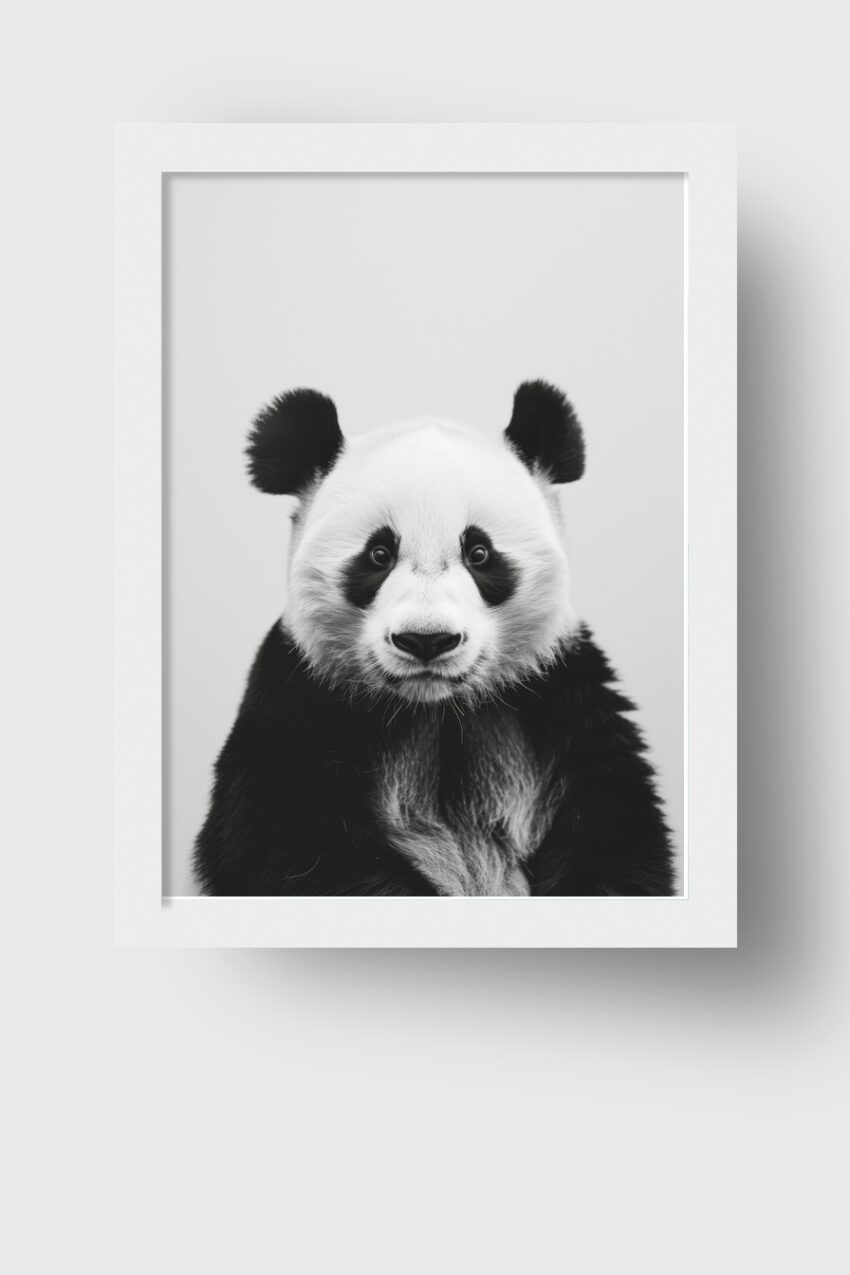 Fotografie Poster Panda schwarz-weiß Porträt frontal