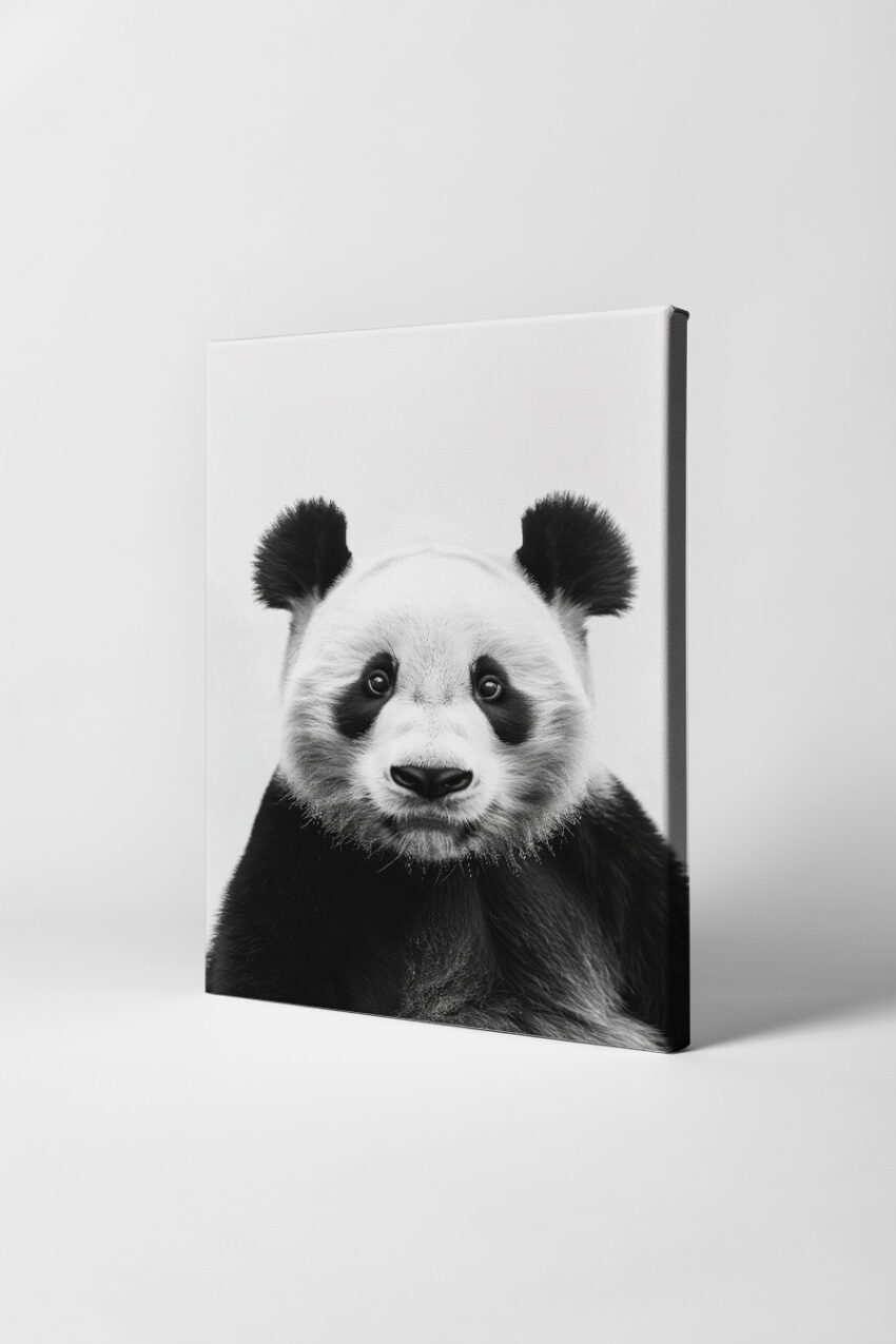 Fotografie Poster Panda schwarz-weiß nahaufnahme