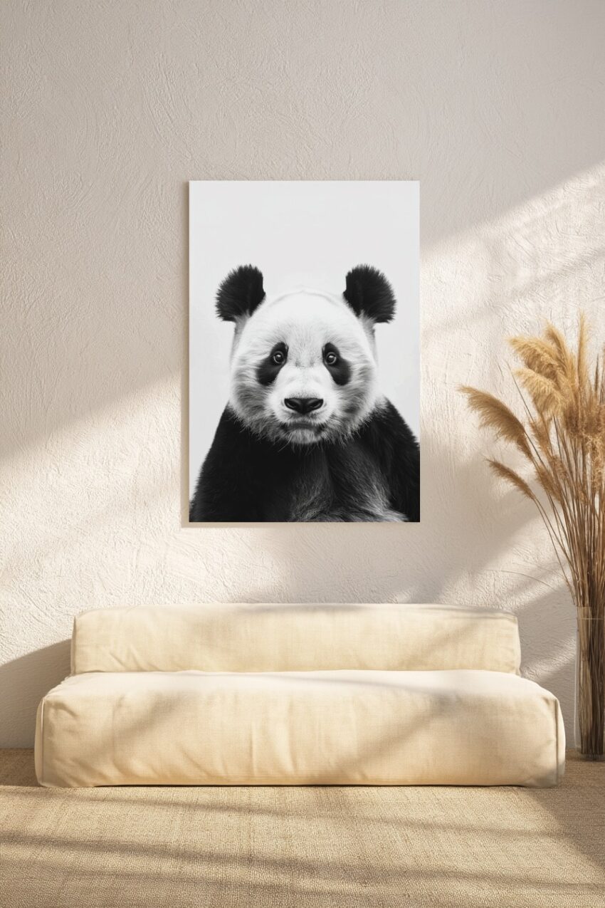 Fotografie Poster Panda schwarz-weiß nahaufnahme