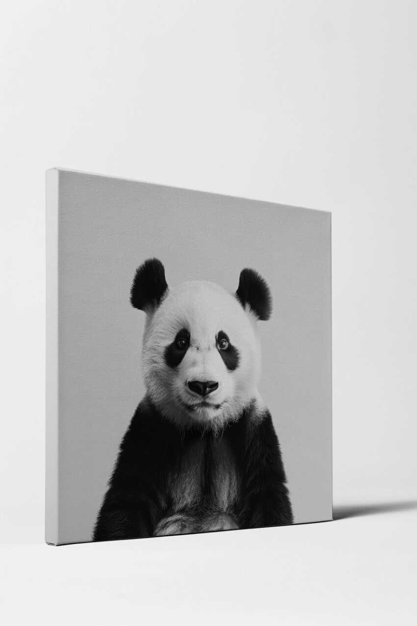 Fotografie Poster Panda schwarz-weiß frontal Blick