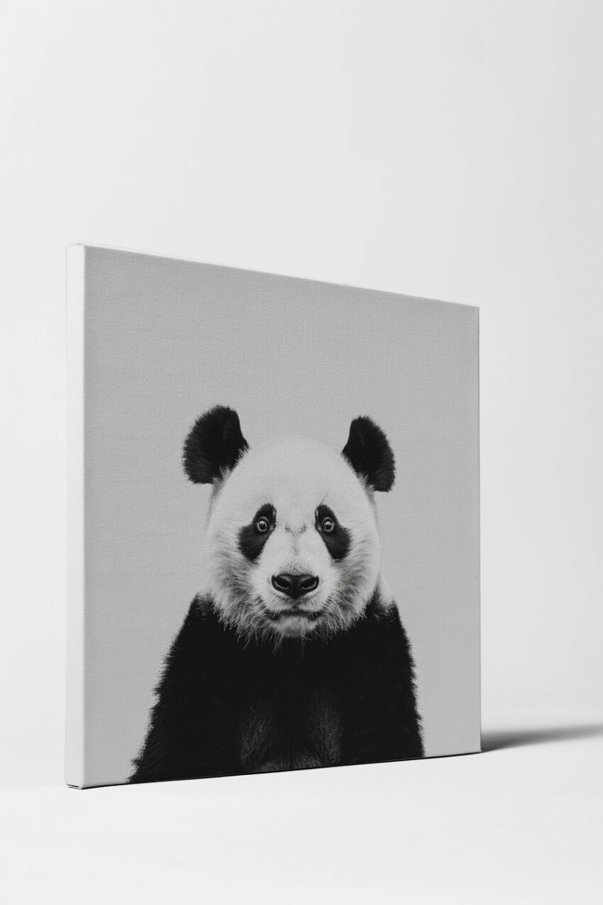 Fotografie Poster Panda schwarz-weiß frontal klar