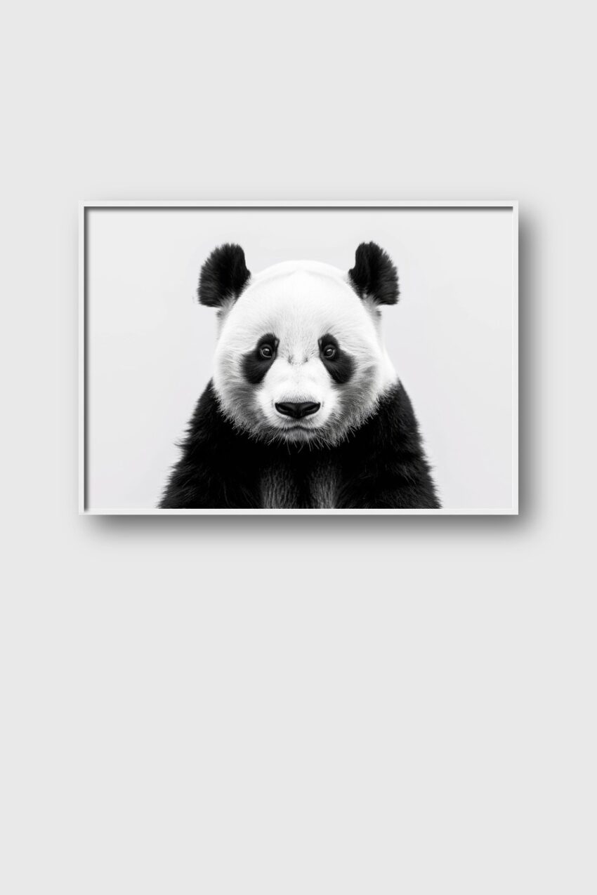 Fotografie Poster Panda schwarz weiß klar