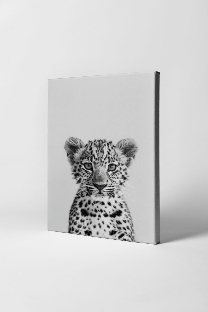 Fotografie Poster Leopardjunges schwarz-weiß intensiver Blick