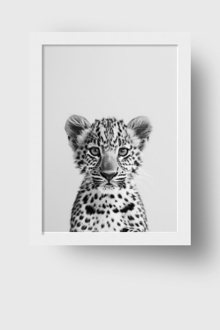 Fotografie Poster Leopardjunges schwarz-weiß intensiver Blick