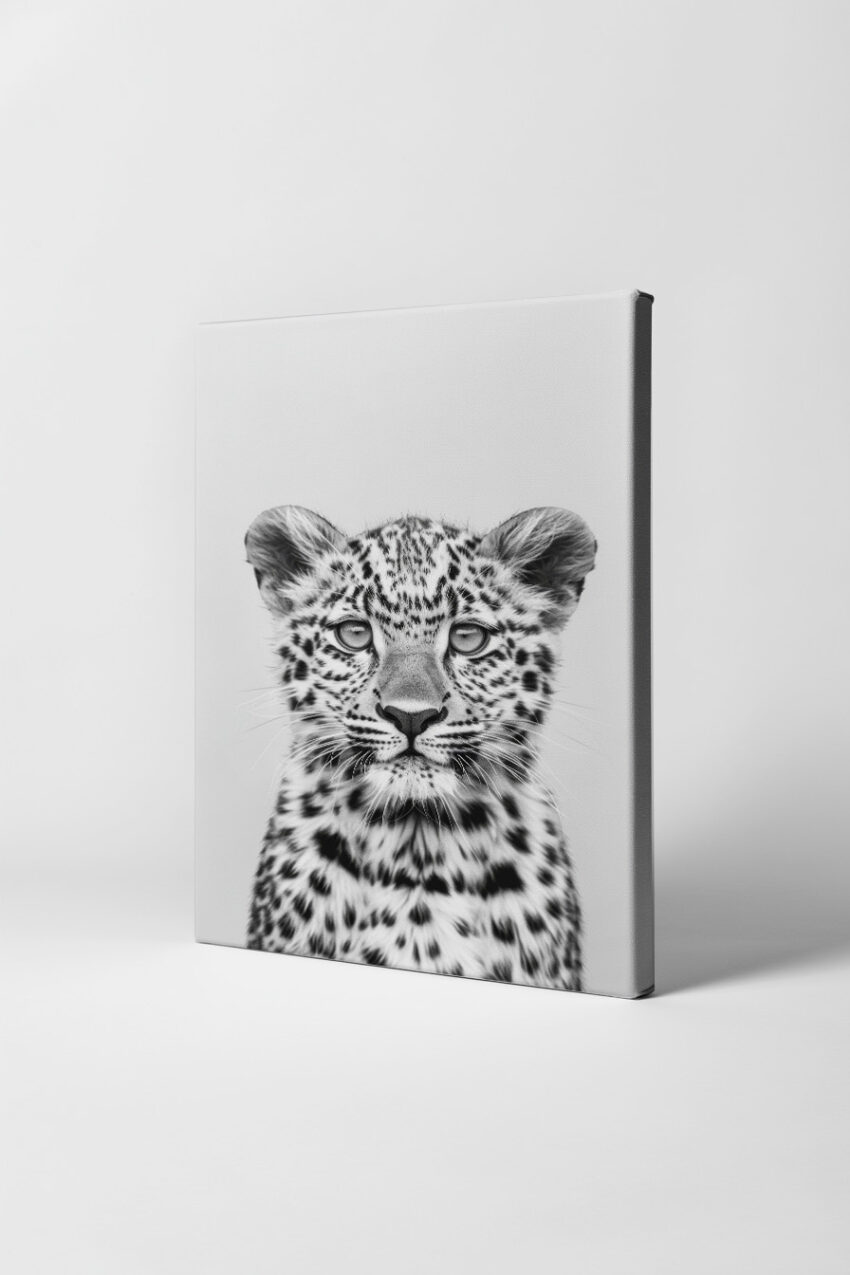 Fotografie Poster junger Leopard schwarz-weiß klar